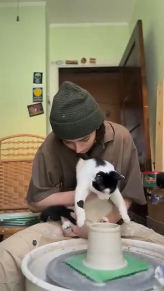 Let’s meow help #meowed From feeeuuhh | IG