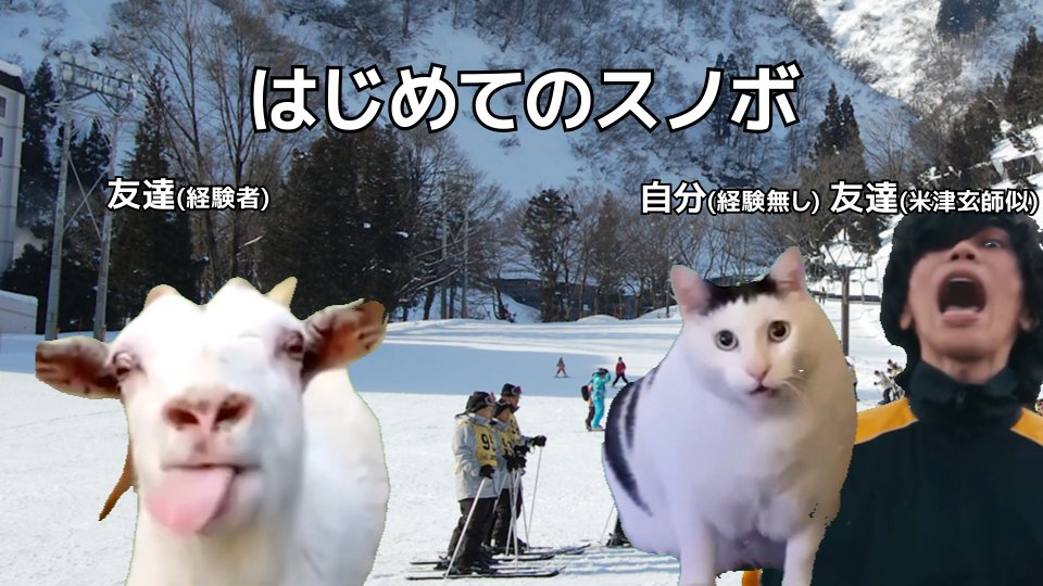 はじめてスノボ行ったらおしりが大変なことになった話 #猫ミーム #猫の日