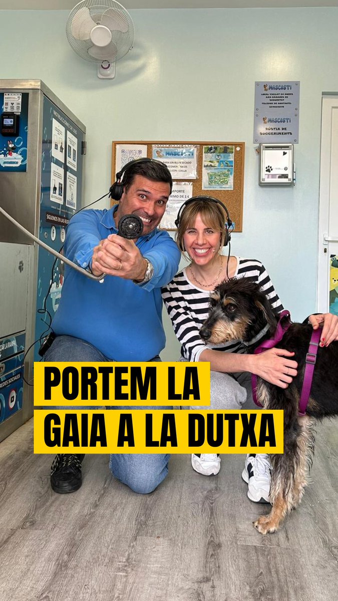 En Xavi Pérez Esquerdo intenta dutxar la Gaia, la gossa de la Marina Romero, que té por de l'aigua. Què pot sortir malament? #ÚltimaCatRàdio