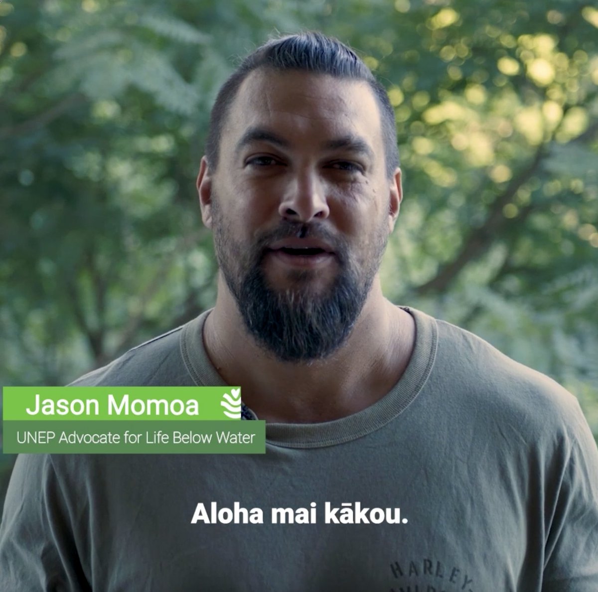 A big triumph for mangroves in Sri Lanka! Jason Momoa presents the new #GenerationRestoration Flagship Ministry Of Environment, Sri Lanka! Their relentless work on perfecting the planting of mangroves benefits communities &amp; nature, leading the way for others to follow.