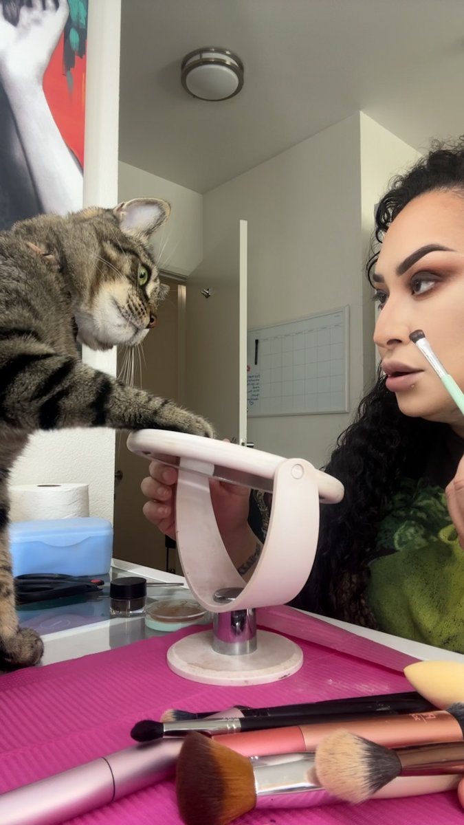 Cat won't stop smacking his mom — watch what he does when she tries to find a solution! 💛