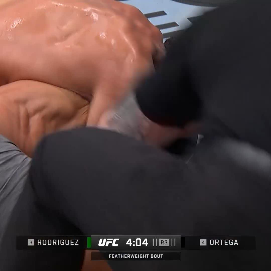 WELCOME BACK BRIAN ORTEGA 🤯 @BrianTCity submits Rodriguez for a HUGE victory at #UFCMexico