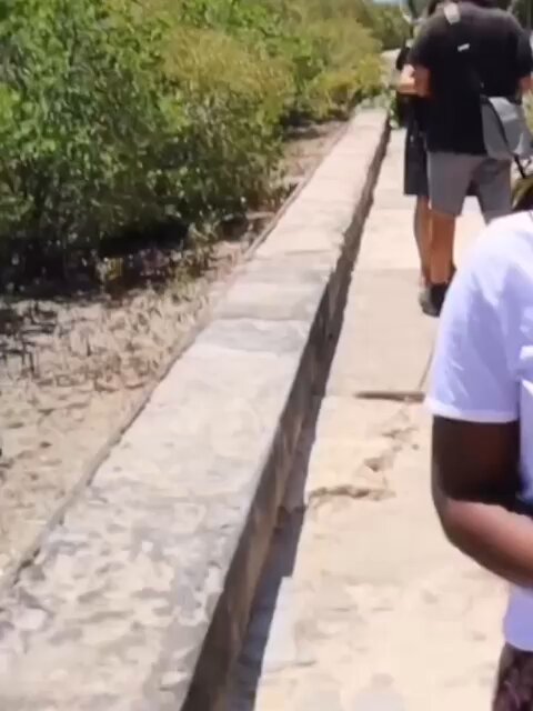 Mozambikte karşılaşan bir Alman ve Afrikalının Türkçe sohbeti.. fıkra gibi dkdjdjdkdkd