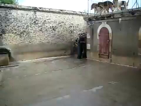 اهلك اختك امك ابناءك يالله يالله انت وهو من منشني .. وارجع اكرر .. يارب يعيدها ويكررها فرحة اسطوووووورية هش انت وهو 💛💙