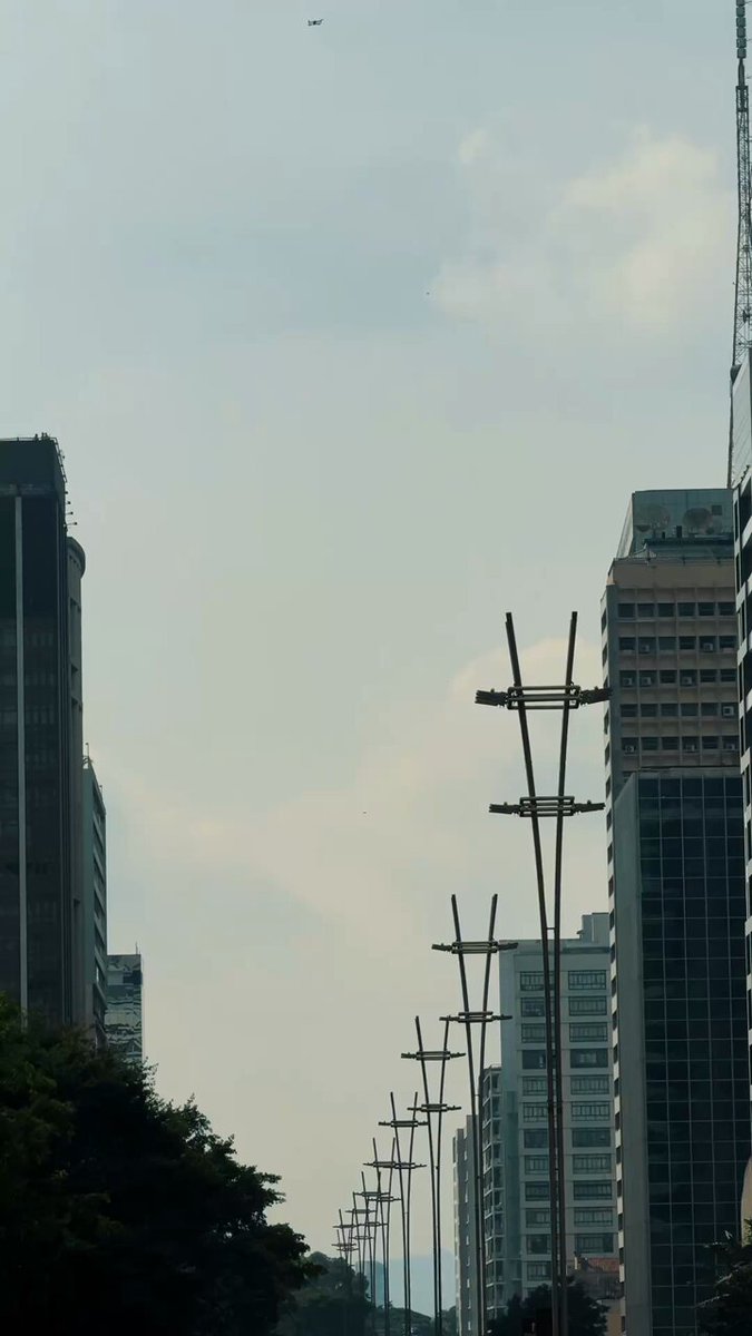 São Paulo ama vestir verde e amarelo. E que saudade que a gente tava de ver a paulista com as cores de quem ama nosso país e relembrar o legado que o governo de Jair M. Bolsonaro deixou para as pessoas. Viva o Brasil!