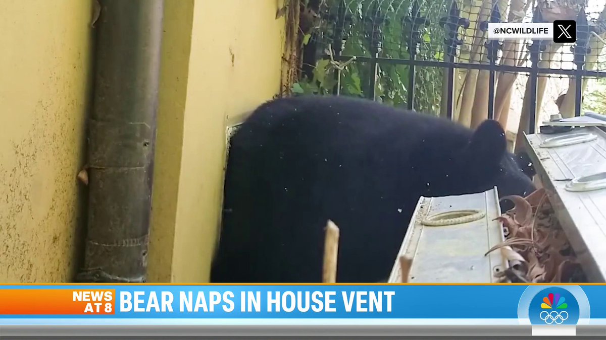 As bears start coming out of hibernation, one black bear was caught on camera coming out of a vent of a family's home in North Carolina.