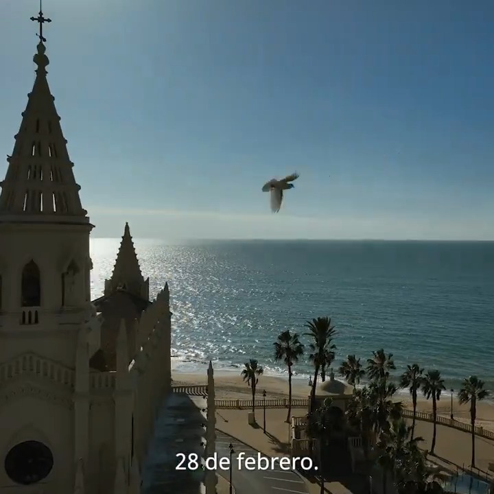 ¡Feliz #DíaDeAndalucía! Hoy es el día de todos los andaluces. Y no hay mejor fecha que el #28F para recordar que juntos somos capaces de lograr lo que nos propongamos. Somos líderes en echarle coraje a la vida. No lo olvidemos nunca. Sigamos avanzando. ¡Viva #Andalucía!