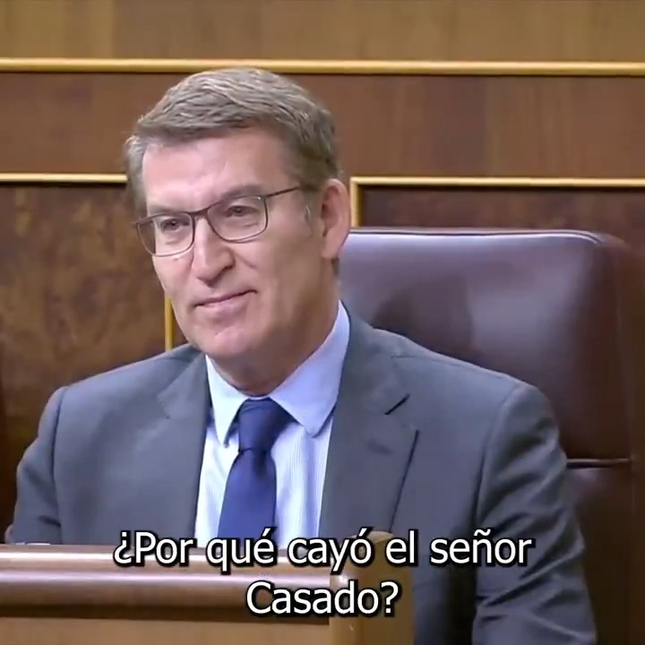 Nosotros llegamos al Gobierno para desterrar la corrupción de la política y usted ha llegado al frente del PP para taparla. Sr. Feijóo, ¿por qué cayó el Sr. Casado? Por denunciar una trama de corrupción de la señora Ayuso en la Comunidad de Madrid y usted está en pie por callar y tapar esa corrupción.