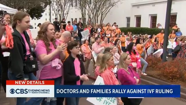 Families, doctors and IVF advocates in Alabama rallied to urge lawmakers to shield IVF providers from civil and criminal prosecution following the state's Supreme Court ruling that gives frozen embryos the same rights as children.