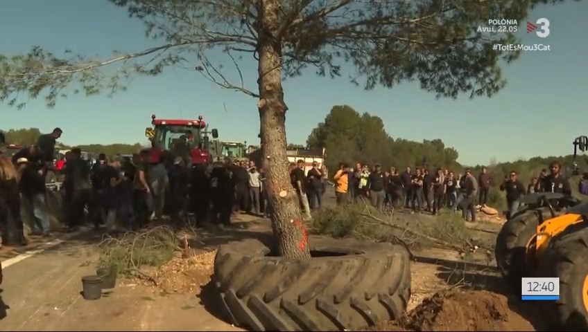 Els pagesos planten un pi de grans dimensions al bell mig de l'autopista AP-7 #TotEsMou3Cat
