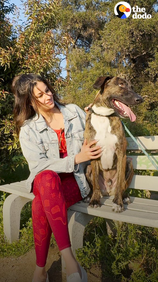 Richa Moorjani goes on a blind date with a 2-year-old shepherd mix who's been waiting for a family his whole life! 🌹