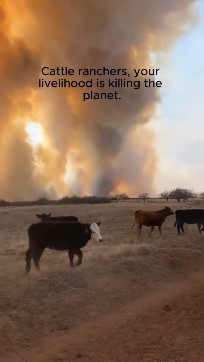 This is 100% preventable. Go vegan to save cows from being killed and the planet from being killed too.