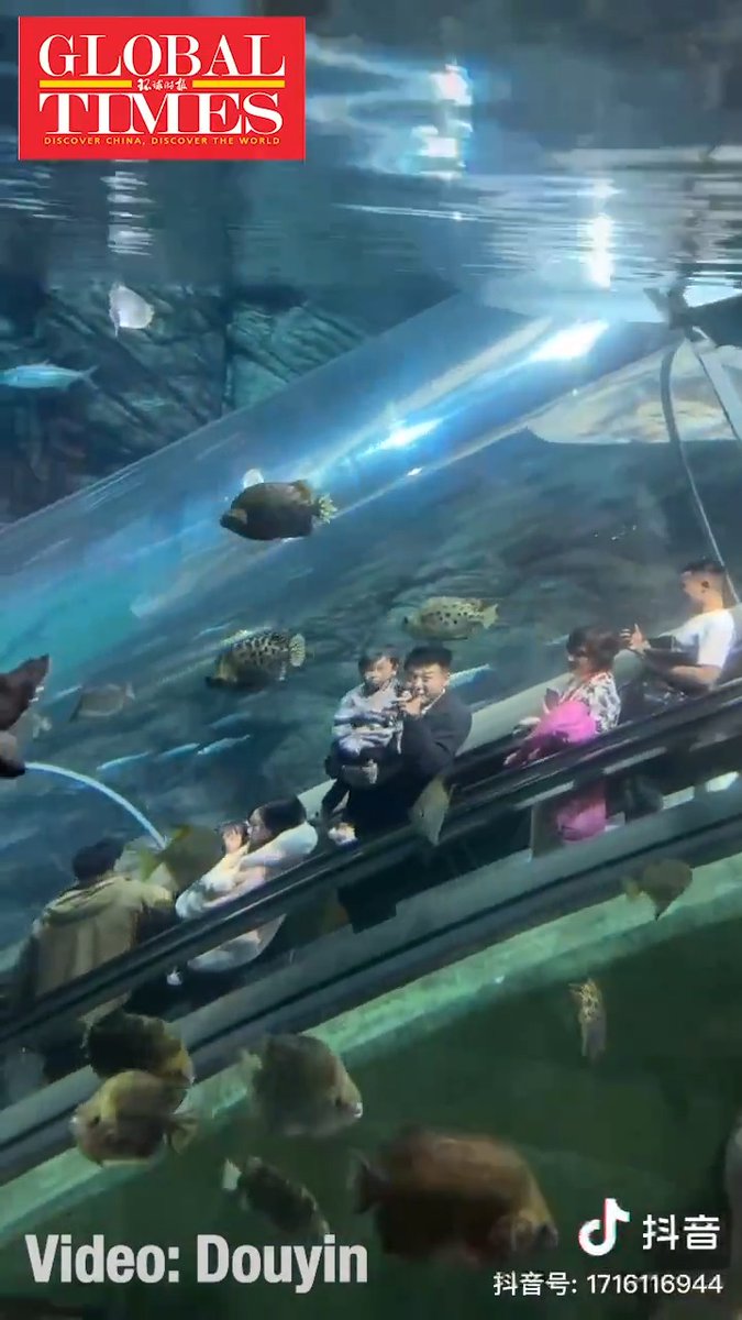 Take the escalator with these tourists and explore the magical underwater world at #Shanghai Ocean #Aquarium!