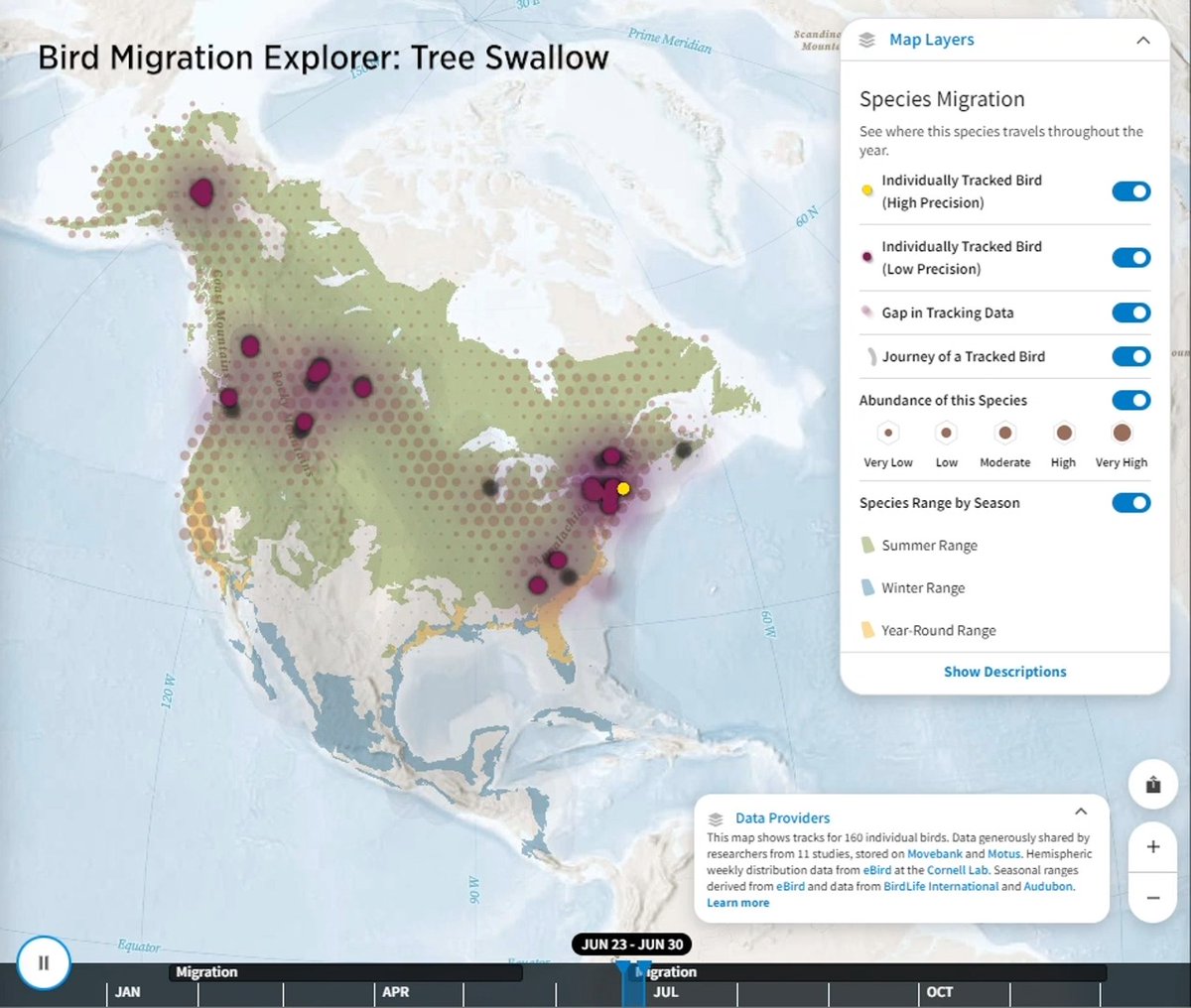 The Bird Migration Explorer from Audubon and partners is a state-of-the-art digital platform that reveals migration data for 458 species found in the U.S. &amp; Canada. Find out where your neighborhood birds go throughout the year—check it out!