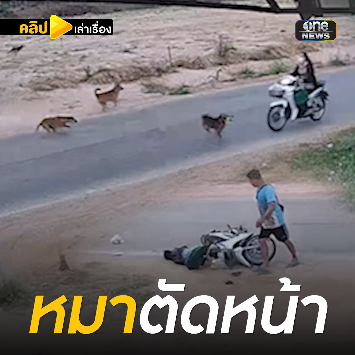 หมาตัดหน้า! ชน จยย.ล้มคนขี่สลบ ตื่นมาจำไม่ได้เกิดอะไรขึ้น #คลิปเล่าเรื่อง