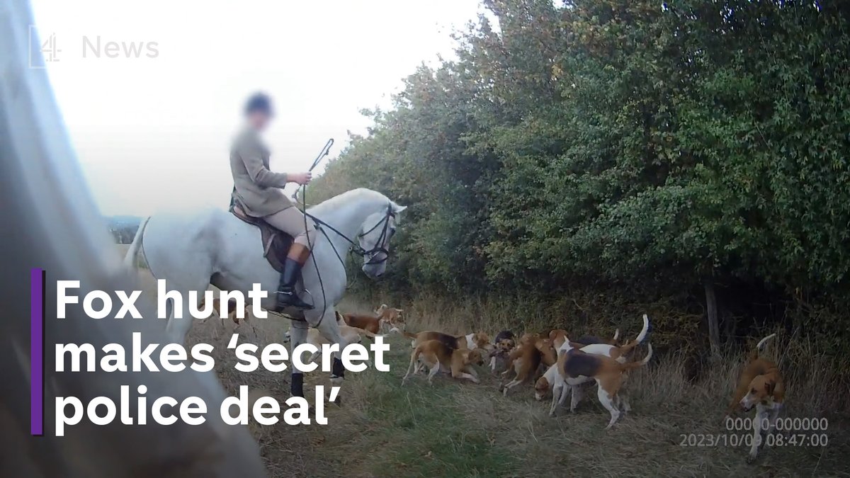 Fox hunting group avoid court with ‘secret’ police deal. alex thomson reports.
