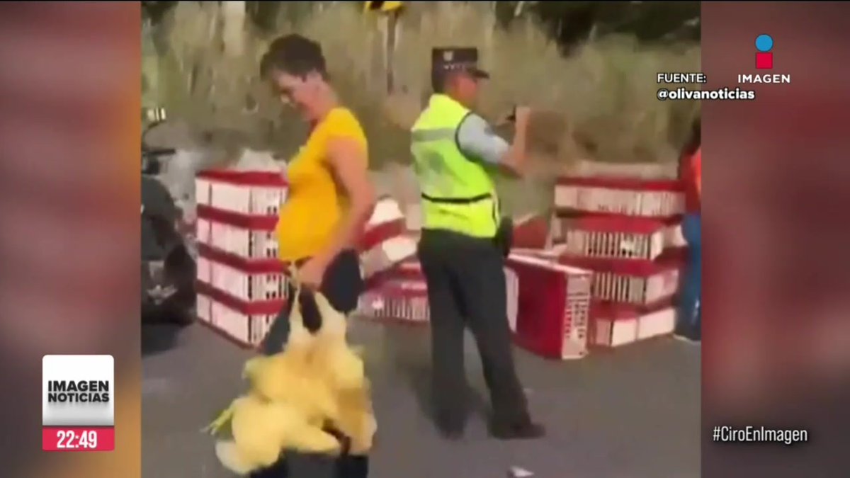 Un camión con pollos se volcó sobre la carretera federal en #Alvarado, #Veracruz. Los habitantes de la zona aprovecharon el accidente para robarse los pollos. Los guardias nacionales y policías municipales no hicieron nada para impedir la rapiña.