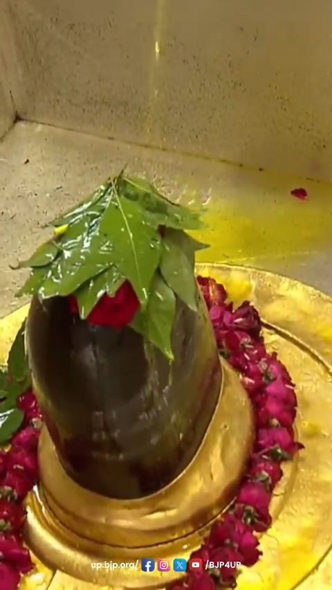 जय रुद्रदेव महादेव, देवों के देव महादेव #kashi #sanatani #हर_हर_महादेव