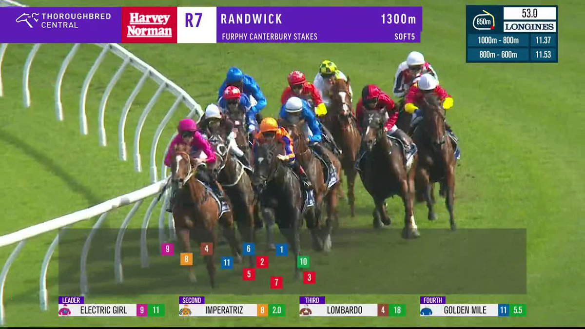 It's been 368 days since Imperatriz was last beaten and it took an absolutely epic performance from Artorius in the Canterbury Stakes!