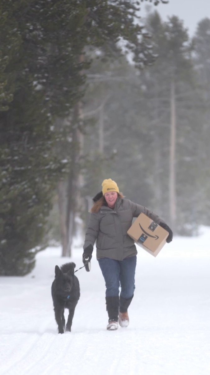 When a bison crossing is part of your Amazon delivery route inside Yellowstone National Park.