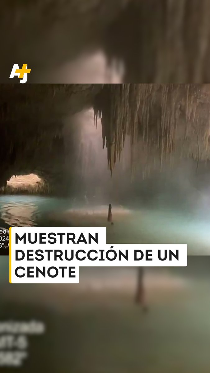 Las construcciones y perforaciones del viaducto para el Tren Maya están afectando directamente a los cenotes de Playa del Carmen y Tulum, así lo han documentado ambientalistas.