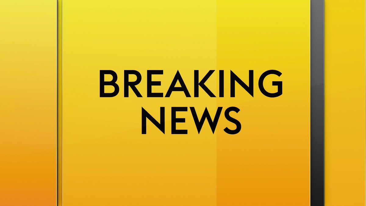 Christian Horner's accuser has been suspended following Red Bull's investigation into "inappropriate behaviour" against the Formula One team principal, the PA news agency understands.