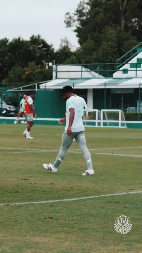 Tranquilo e calmo... 😌 #AvantiPalestra