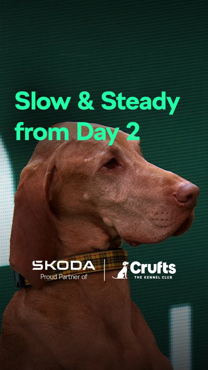 🗣️"This is what agility is all about!" Slow and steady definitely won this time round ☺️ Škoda UK | #Crufts