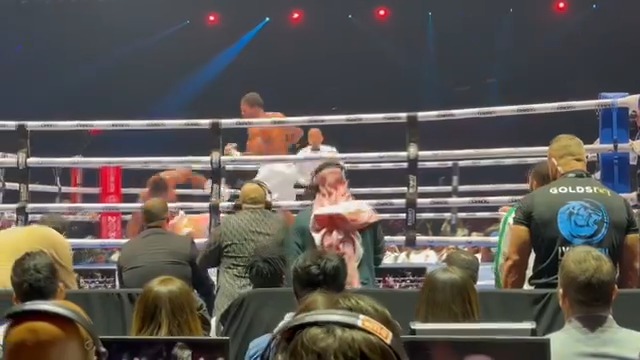 ANTHONY JOSHUA KNOCKS FRANCIS OUT COLD ON THE CANVAS