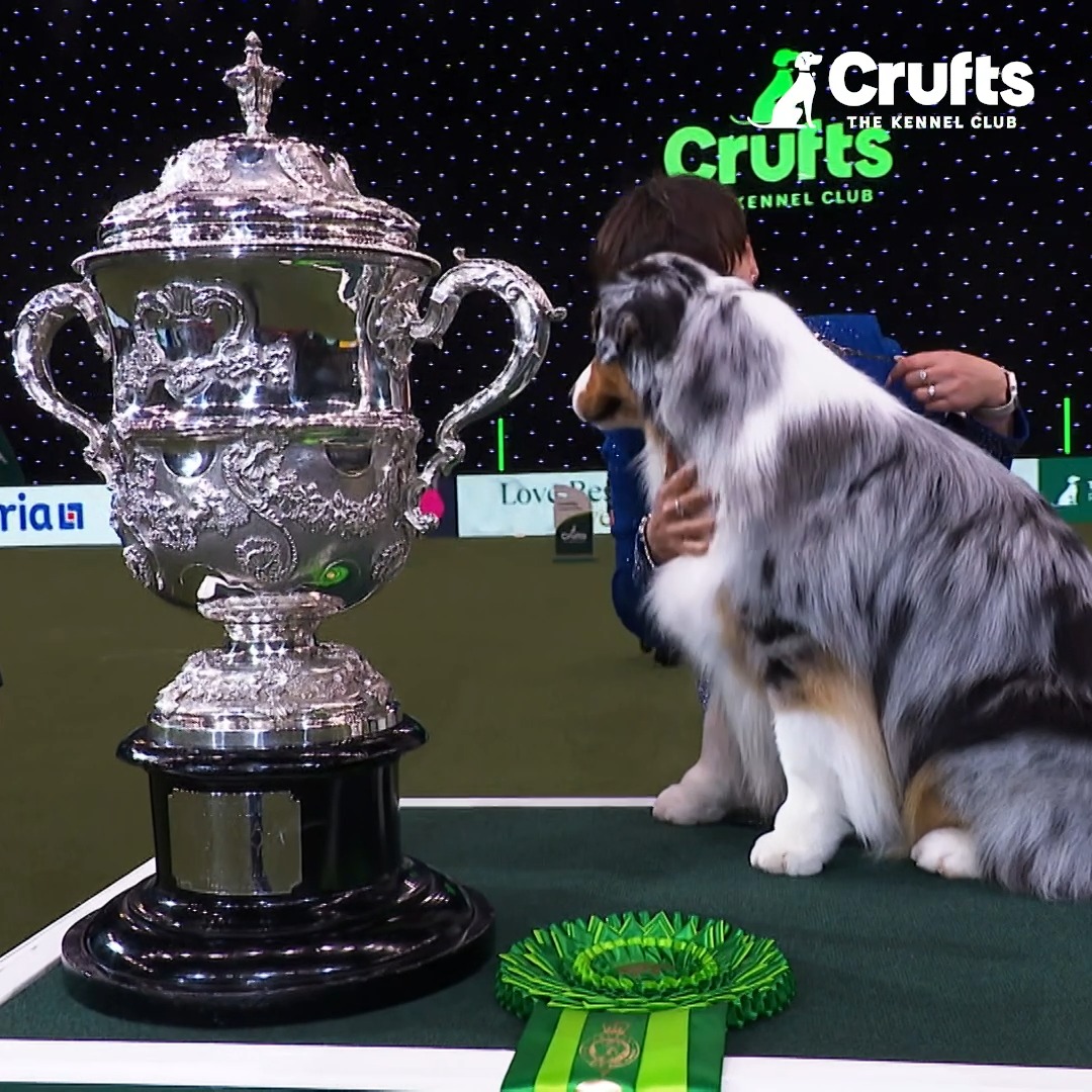 Crufts 2024, you were wonderful 😍 Another memorable year comes to a close, and we've had everything and more. We already can't wait for next year, we'll see you then 🙌 #Crufts