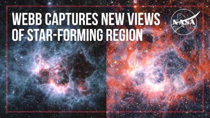 Here’s your guided tour of NGC 604 — as narrated by Webb’s senior project scientist, Dr. Jane Rigby! Transport yourself through bubbles carved out by bright, hot stars in Webb’s NIRCam view, then clouds of cooler gas and dust in Webb’s MIRI view. More: