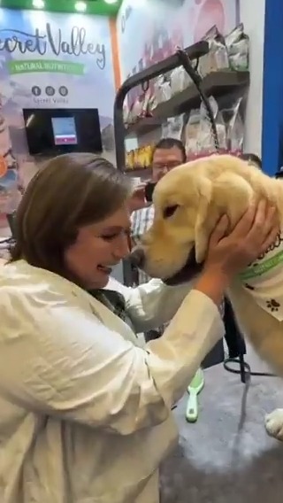 Muy perrón el apoyo en Guadalajara. 🐶 #MxSinMiedo