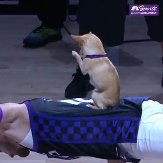 Halftime show had that dawg in it 🐶