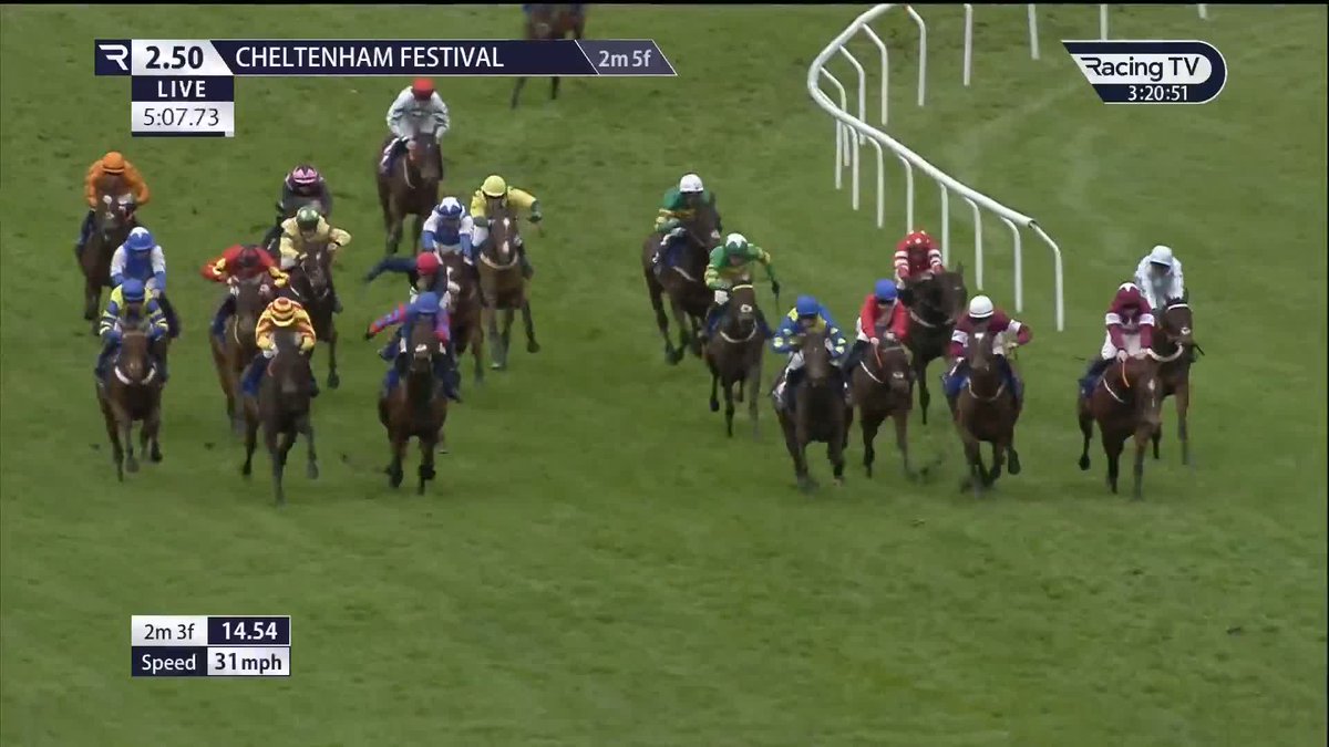 Langer Dan - Coral Cup hero AGAIN! 🏆 2024 🏆 2023 He becomes the first horse to win the race twice Dan Skelton Racing Harry Skelton