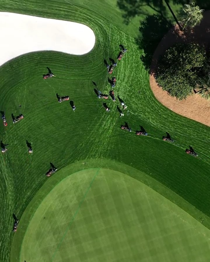 A cut above. The final rough mow of the week THE PLAYERS ⛳️