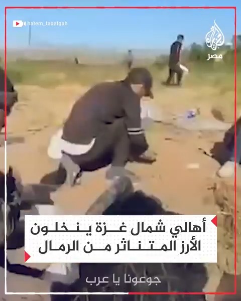 "جوعونا يا عرب".. فلسطينيون بشمال #غزة ينخلون الأرز المتناثر بين الرمال في ظل حرب التجويع التي يشنها الاحتلال على أهالي القطاع