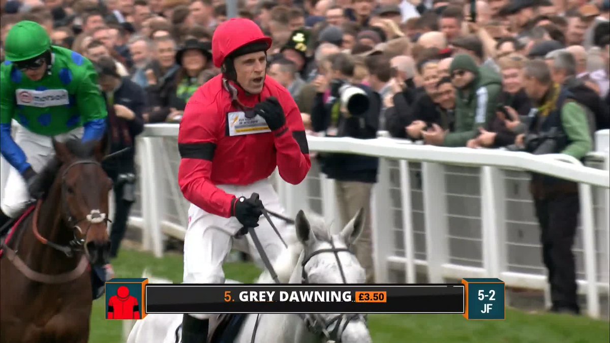 Grey Dawning gets revenge on Ginny's Destiny The Harry Skelton & Dan Skelton Racing win a 𝐡𝐮𝐠𝐞 battle for the Turners Novices’ Chase #ITVRacing | #CheltenhamFestival