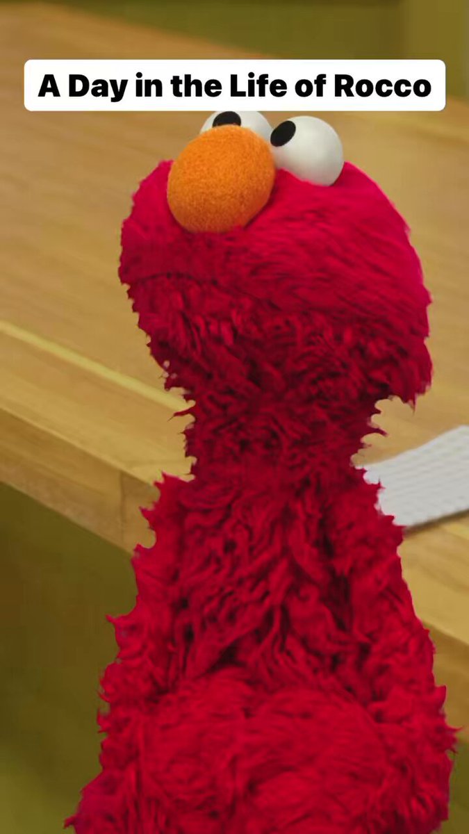 You know, for a rock, Rocco really gets around Sesame Street! 🤨