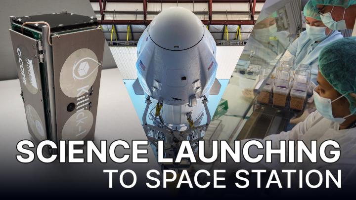 Our next resupply mission is heading to the International Space Station later this month in SpaceX's uncrewed Dragon spacecraft—and it'll carry tech that monitors sea ice, ISS_Research into off-planet photosynthesis, and a study to improve nanoparticle solar cells: