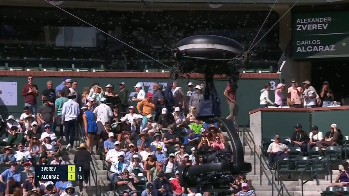 A pause for... bees?! 🐝 Carlos Alcaraz and Alexander Zverev's quarter-final match has been SUSPENDED due to a swarm of bees 🤯