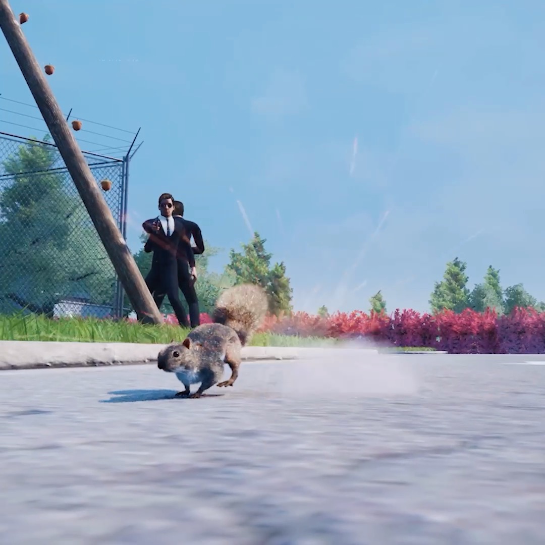 Squirrel with a Gun is coming to PC, Xbox Series X|S and PS5 later this year! 🔫 🐿️ The world is your acorn! Cause chaos, forage nuts, steal cake, and more to prove you’re a rodent that shouldn't be trifled with. You may be small, but you can wreak havoc with the best of 'em. 🌰