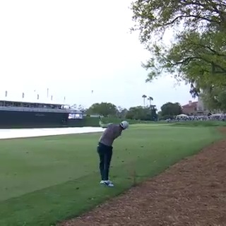 A gutsy shot from @NTaylorGolf59. He finishes his second round at -10 (T2).