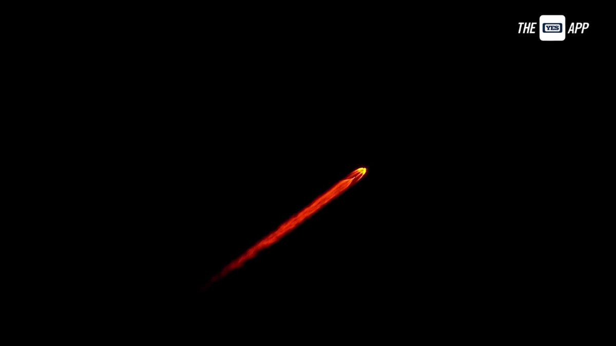 You don't see that too often at the park 🚀