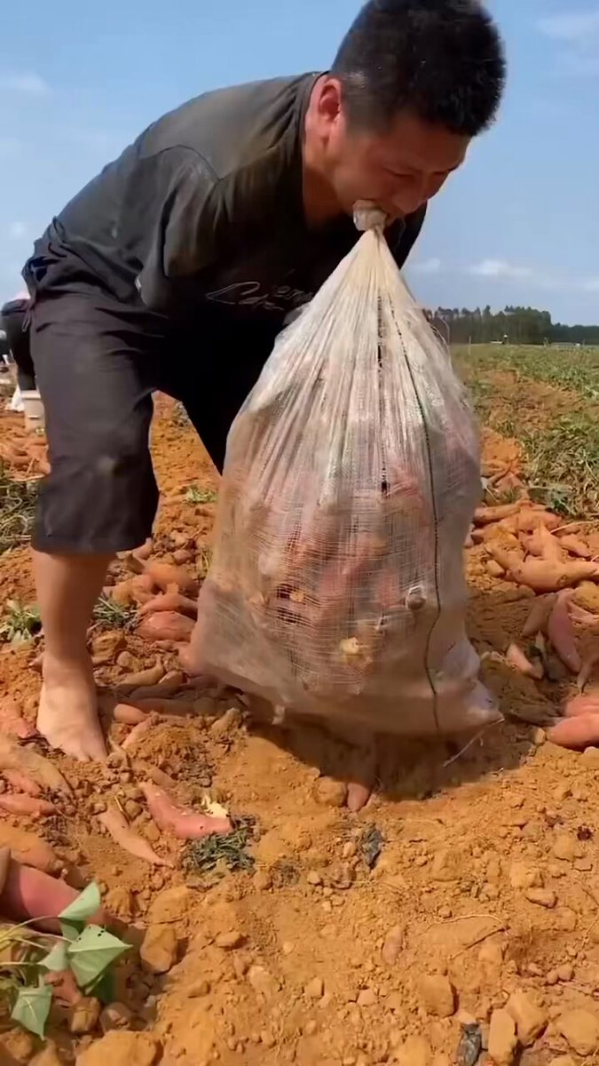 I applaud your determination.