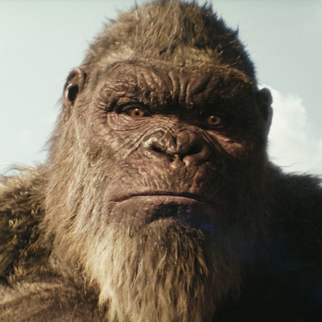 Buckle up! On March 29, get ready for a titan team up like no other 💪 Repost if you've booked tickets for #GodzillaXKong!