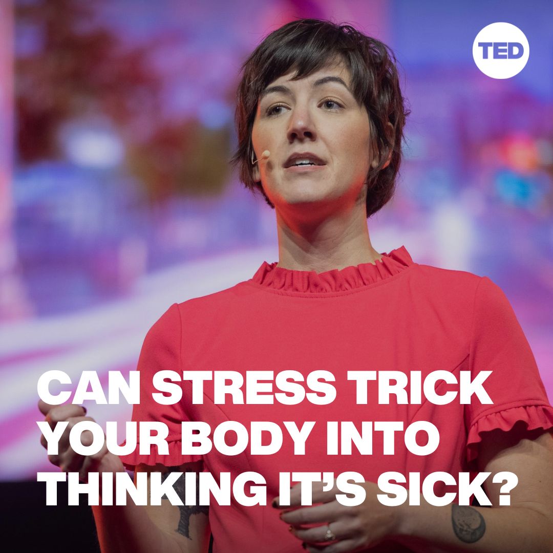 Your stress could be affecting your immune system. Learn more about the science behind how your mood and your body's inflammatory system are interconnected: