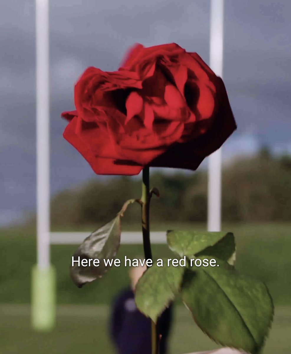 Same team. New home. Welcome to Red Roses 🌹