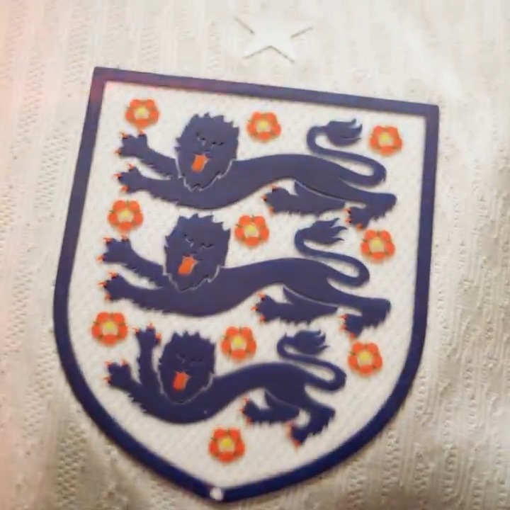 For the badge. 🦁🦁🦁