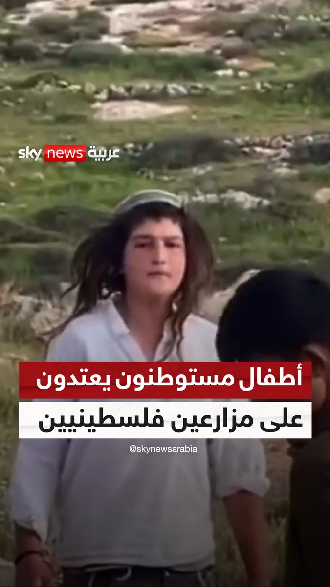 أطفال مستوطنون يعتدون على مزارعين فلسطينيين في منطقة مسافر يطا بالضفة الغربية #سوشال_سكاي #فلسطين #حرب_غزة