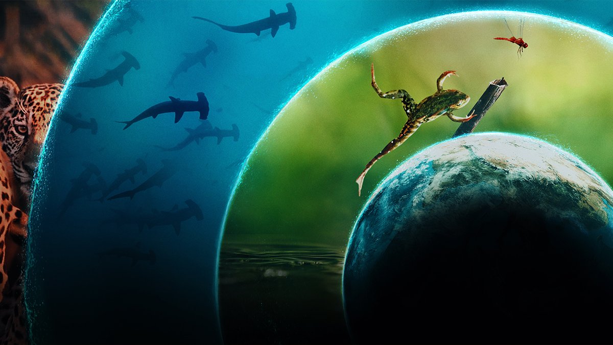 Follow Cate Blanchett's voice to discover the secret that connects us all. Our Living World premieres April 17.
